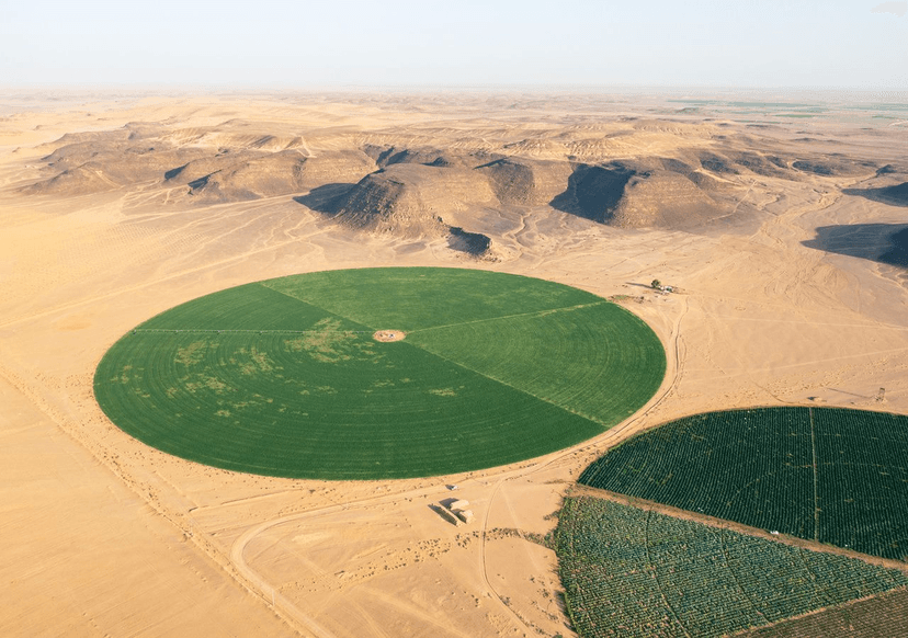 From Sand to Orchards: Regenerative Farming Transforms Morocco’s Desert into Green Oases