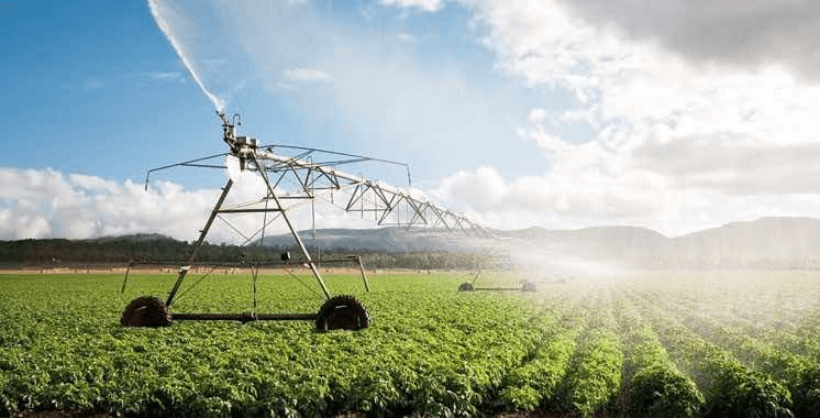 European Green Deal: A Historic Opportunity to Modernize and Sustain Morocco’s Agriculture