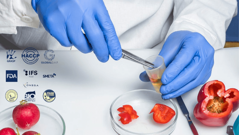 Food Quality Standards in Morocco: Guaranteeing Safety, Sustainability, and Global Competitiveness