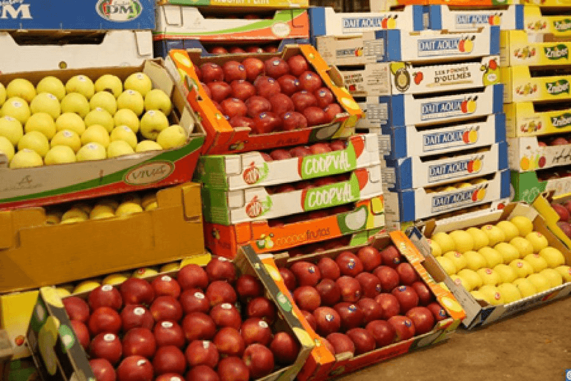 Strong Recovery: Morocco's Exports Rebound 18% in 2024-2025 Season