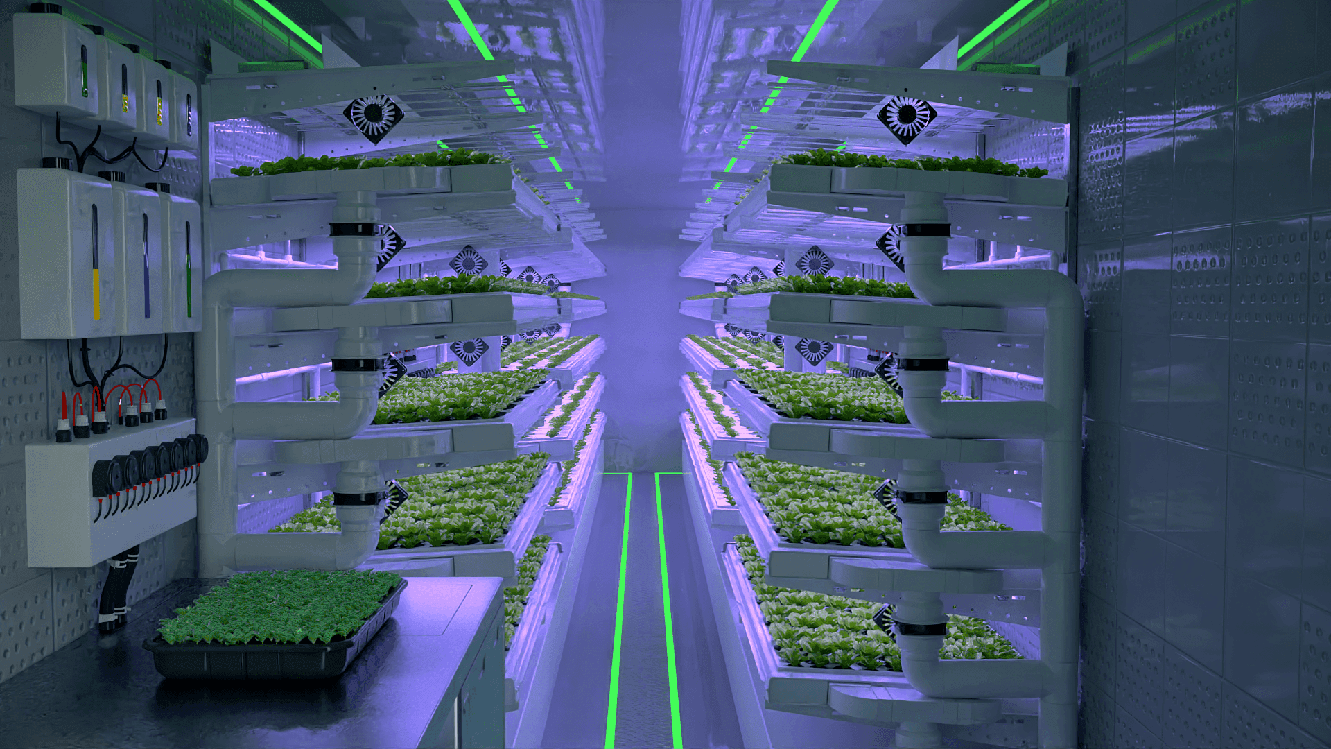 Oasis Irrigation Innovation in Morocco: Combining Tradition and Technology for a Sustainable Future